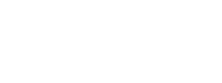 Naver Logo